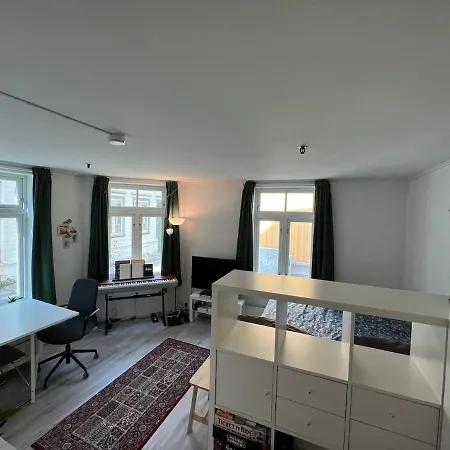 Stor Attraktiv Studioleilighet I Sentrum Trondheim