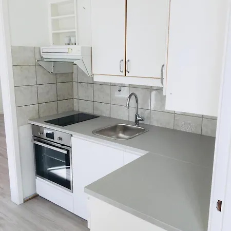 Stor Attraktiv Studioleilighet I Sentrum Apartment