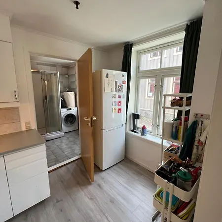 Stor Attraktiv Studioleilighet I Sentrum Apartment *