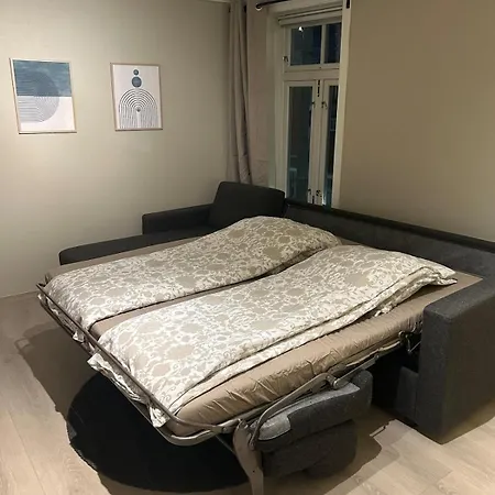 Stor Attraktiv Studioleilighet I Sentrum Trondheim