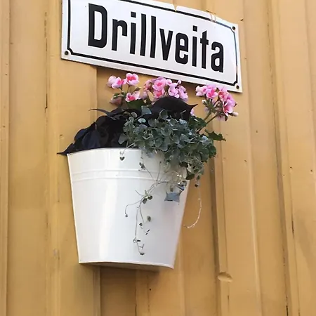 Stor Attraktiv Studioleilighet I Sentrum * Trondheim