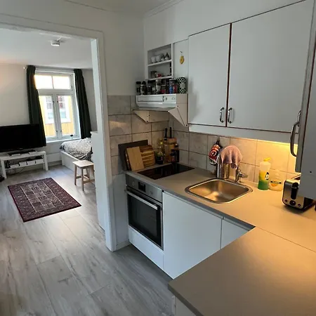 Apartment Stor Attraktiv Studioleilighet I Sentrum *