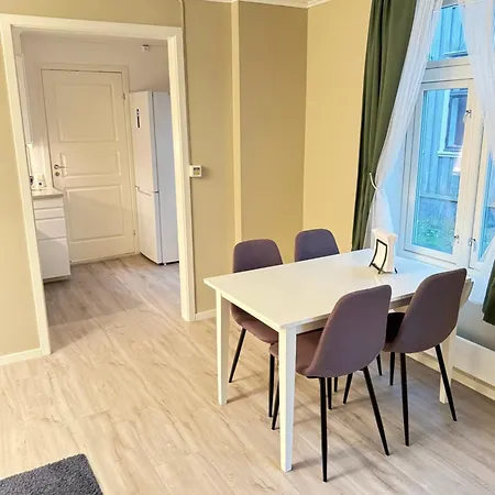 Apartment Stor Attraktiv Studioleilighet I Sentrum Trondheim