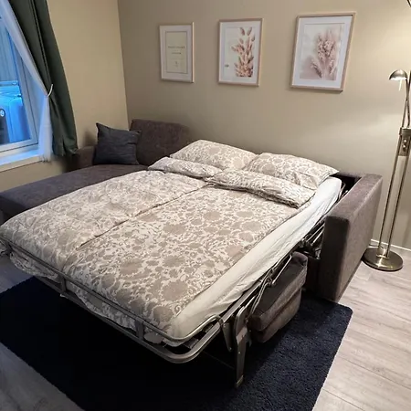 דירה Stor Attraktiv Studioleilighet I Sentrum