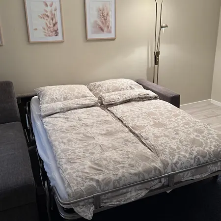 Stor Attraktiv Studioleilighet I Sentrum טרונדהיים