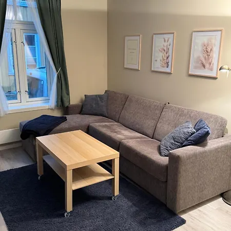 Stor Attraktiv Studioleilighet I Sentrum *