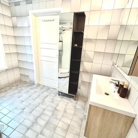Stor Attraktiv Studioleilighet I Sentrum Apartment