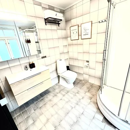 Stor Attraktiv Studioleilighet I Sentrum