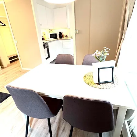 Stor Attraktiv Studioleilighet I Sentrum Apartment *