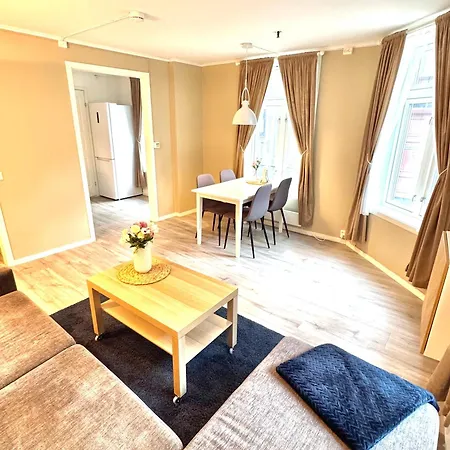 Stor Attraktiv Studioleilighet I Sentrum Apartamento