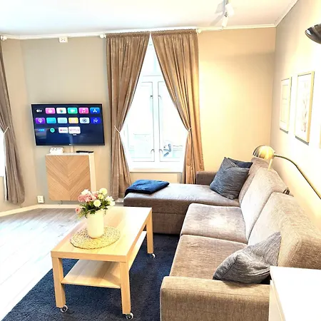 Apartment Stor Attraktiv Studioleilighet I Sentrum Trondheim