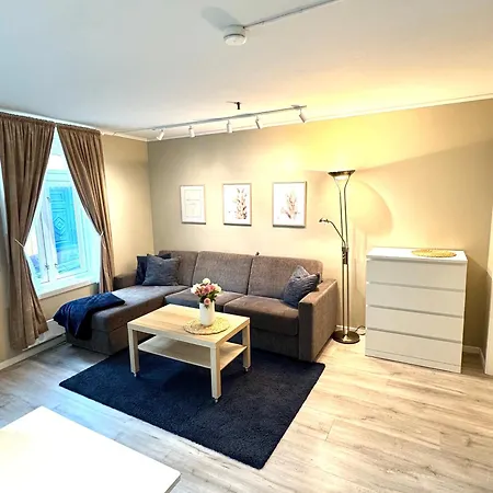 Stor Attraktiv Studioleilighet I Sentrum