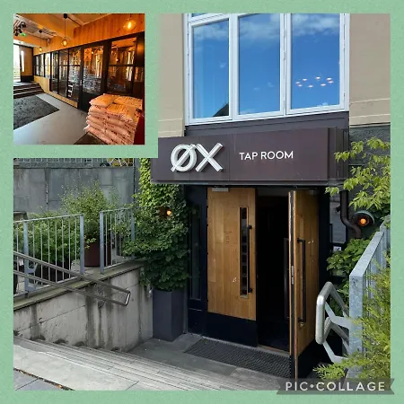 Appartement Stor Attraktiv Studioleilighet I Sentrum Trondheim