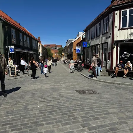 Stor Attraktiv Studioleilighet I Sentrum Appartement *