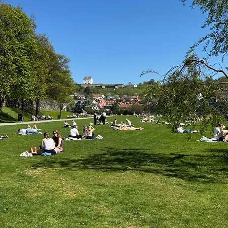 Stor Attraktiv Studioleilighet I Sentrum Apartamento *