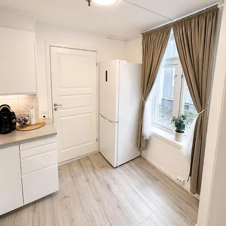 Stor Attraktiv Studioleilighet I Sentrum * Trondheim