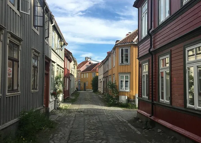 Stor Attraktiv Studioleilighet I Sentrum Appartement Trondheim