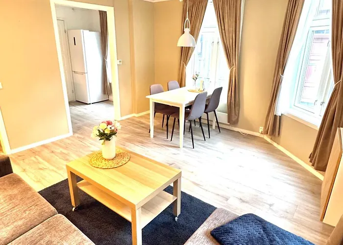 Stor Attraktiv Studioleilighet I Sentrum Appartement