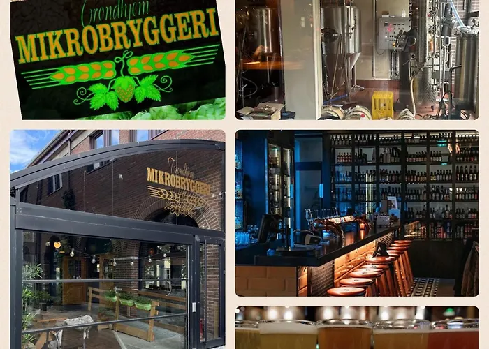 Stor Attraktiv Studioleilighet I Sentrum * Trondheim