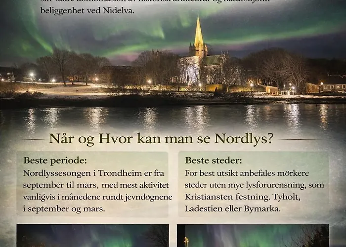 Stor Attraktiv Studioleilighet I Sentrum *