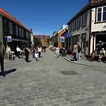 Stor Attraktiv Studioleilighet I Sentrum Apartamento *