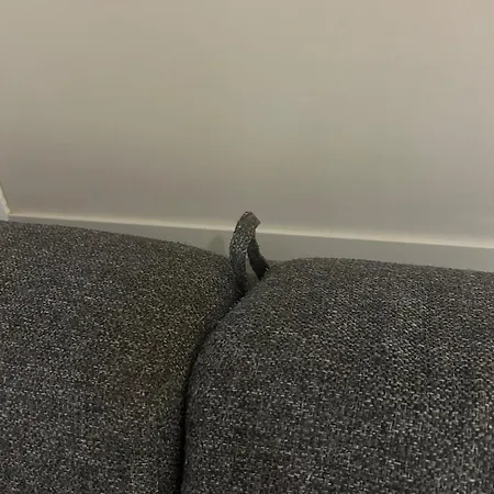 Appartement Stor Attraktiv Studioleilighet I Sentrum *