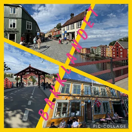 Appartement Stor Attraktiv Studioleilighet I Sentrum Trondheim