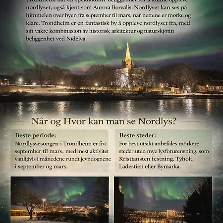 Stor Attraktiv Studioleilighet I Sentrum *